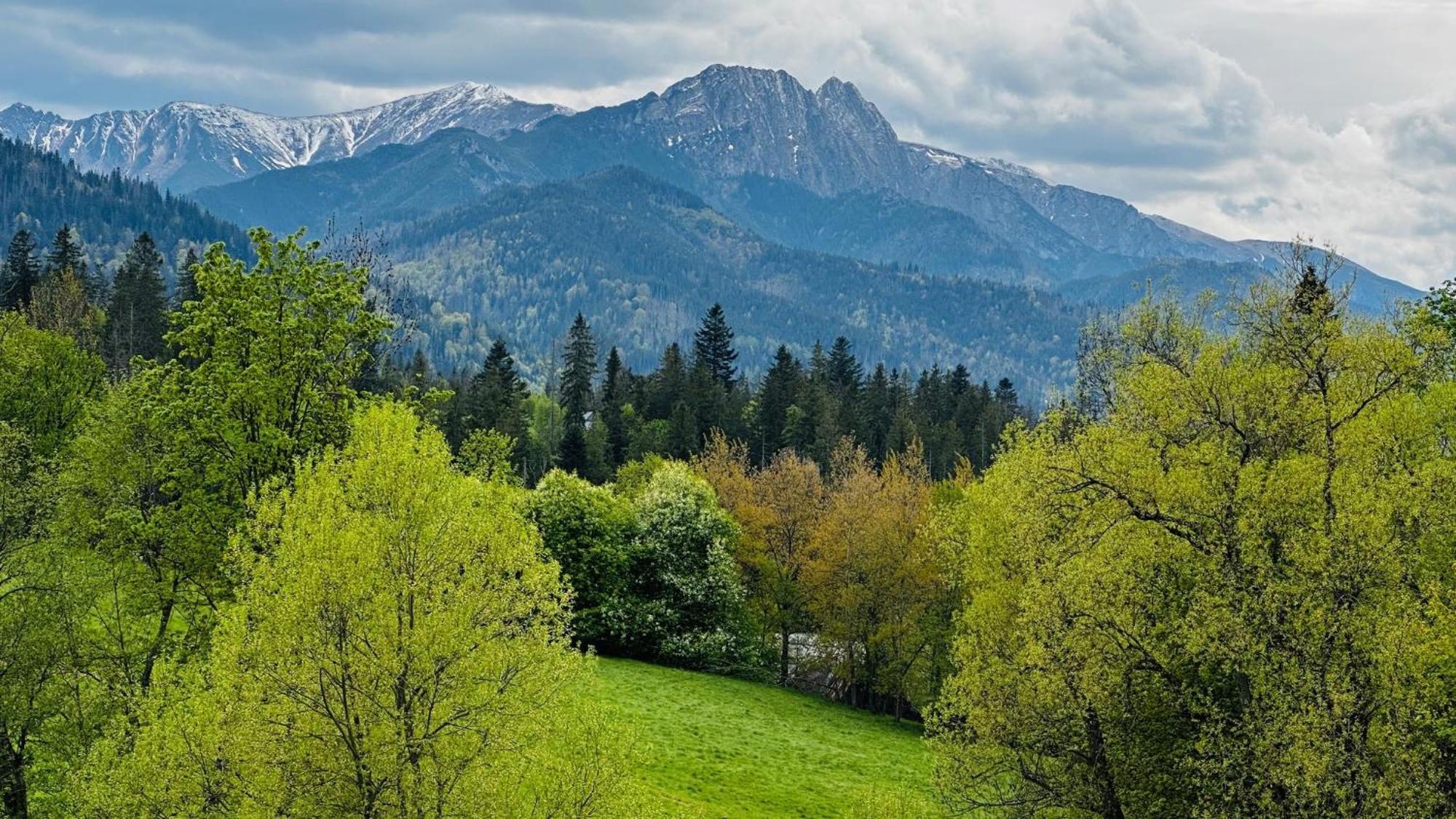 Tatrzanska Polana 5f Zakopane