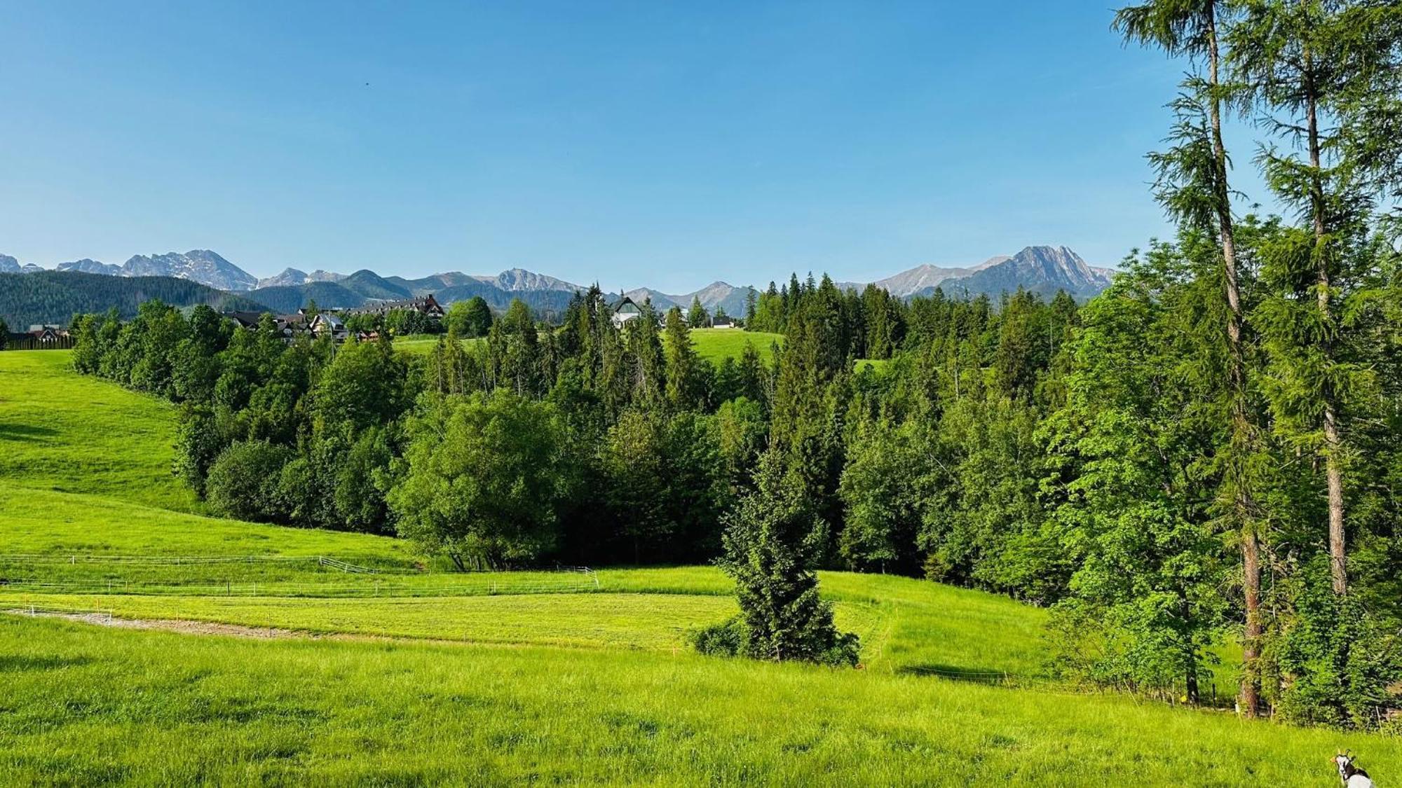 Tatrzanska Polana 5f * Zakopane